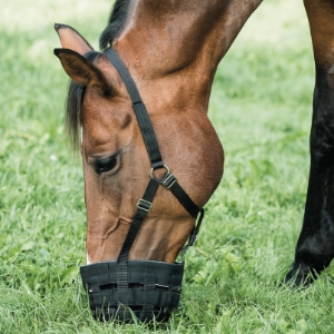 Mundkurve til hest